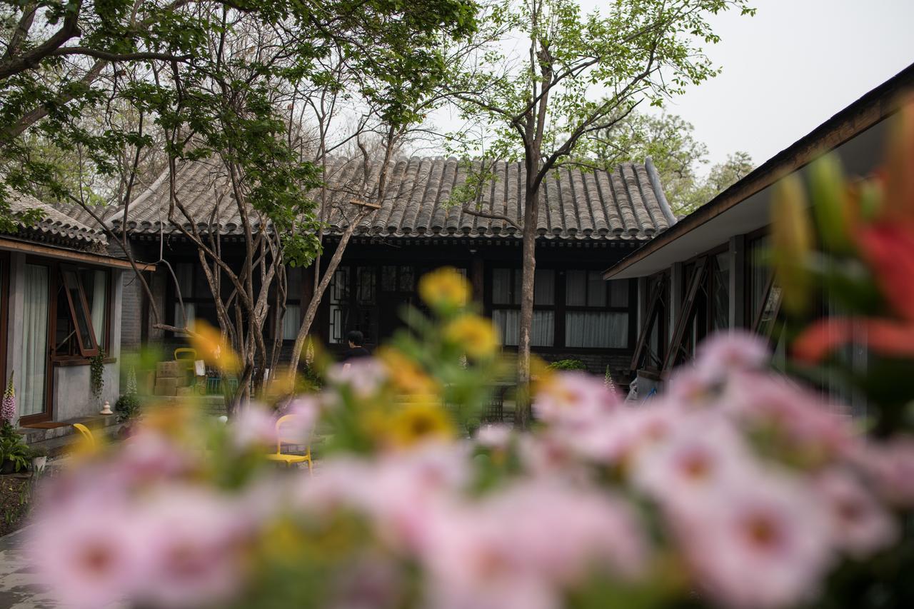 Courtyard Guesthouse, Beijing Exterior photo